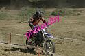 MOTO (26)